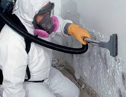 Biohazard Mold Removal in Oliver Springs, TN